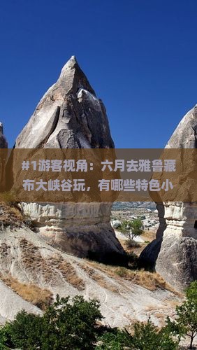 #1游客视角：六月去雅鲁藏布大峡谷玩，有哪些特色小吃让我嘴馋又满足？