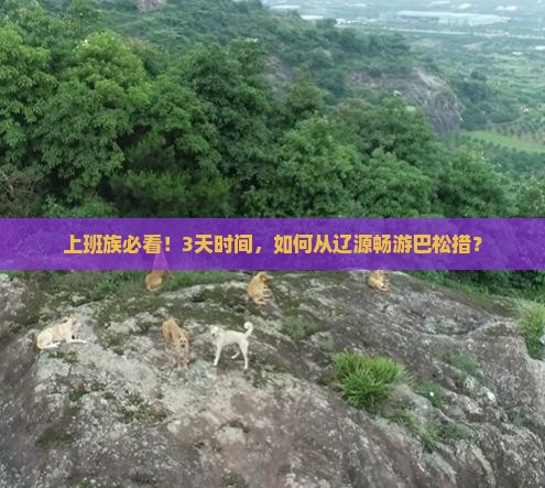 上班族必看！3天时间，如何从辽源畅游巴松措？