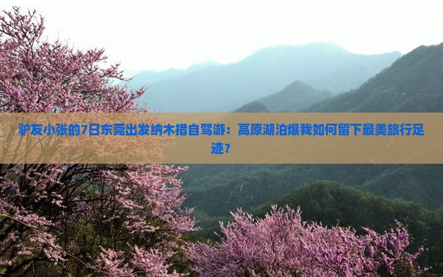 驴友小张的7日东莞出发纳木措自驾游：高原湖泊爆我如何留下最美旅行足迹？