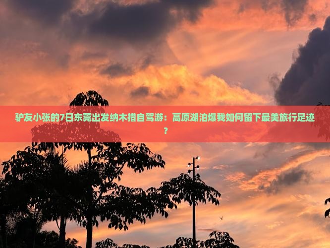 驴友小张的7日东莞出发纳木措自驾游：高原湖泊爆我如何留下最美旅行足迹？