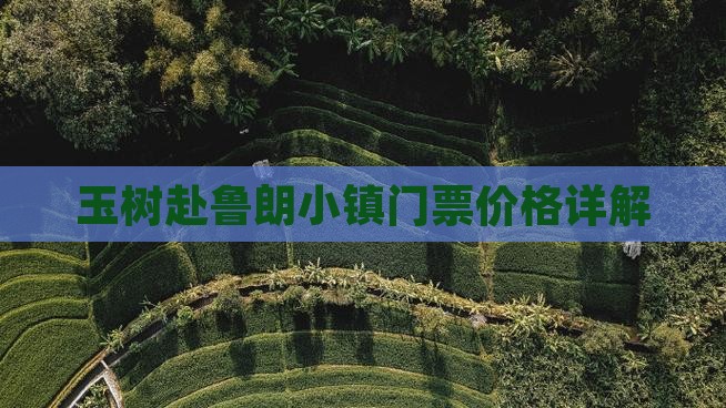 玉树赴鲁朗小镇门票价格详解