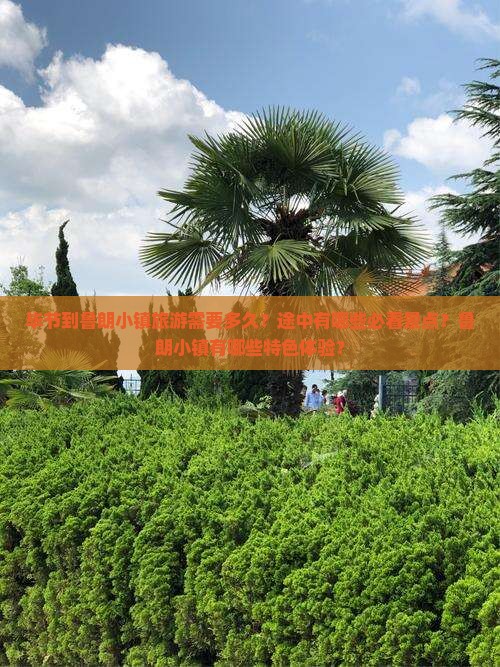 毕节到鲁朗小镇旅游需要多久？途中有哪些必看景点？鲁朗小镇有哪些特色体验？