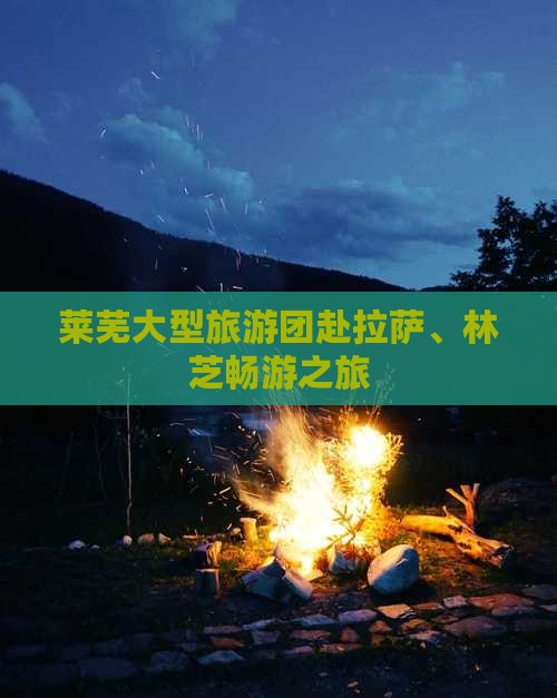 莱芜大型旅游团赴拉萨、林芝畅游之旅