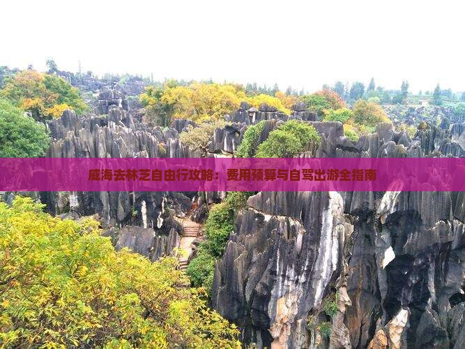 威海去林芝自由行攻略：费用预算与自驾出游全指南