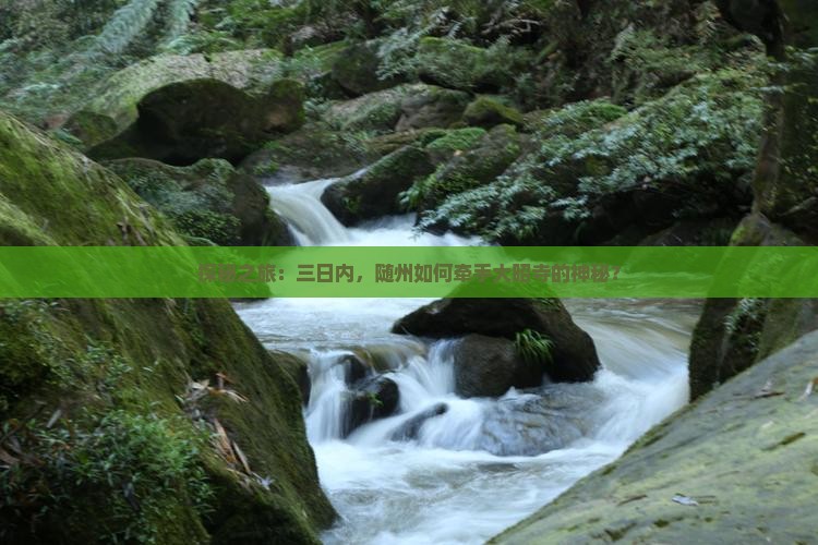 探秘之旅：三日内，随州如何牵手大昭寺的神秘？