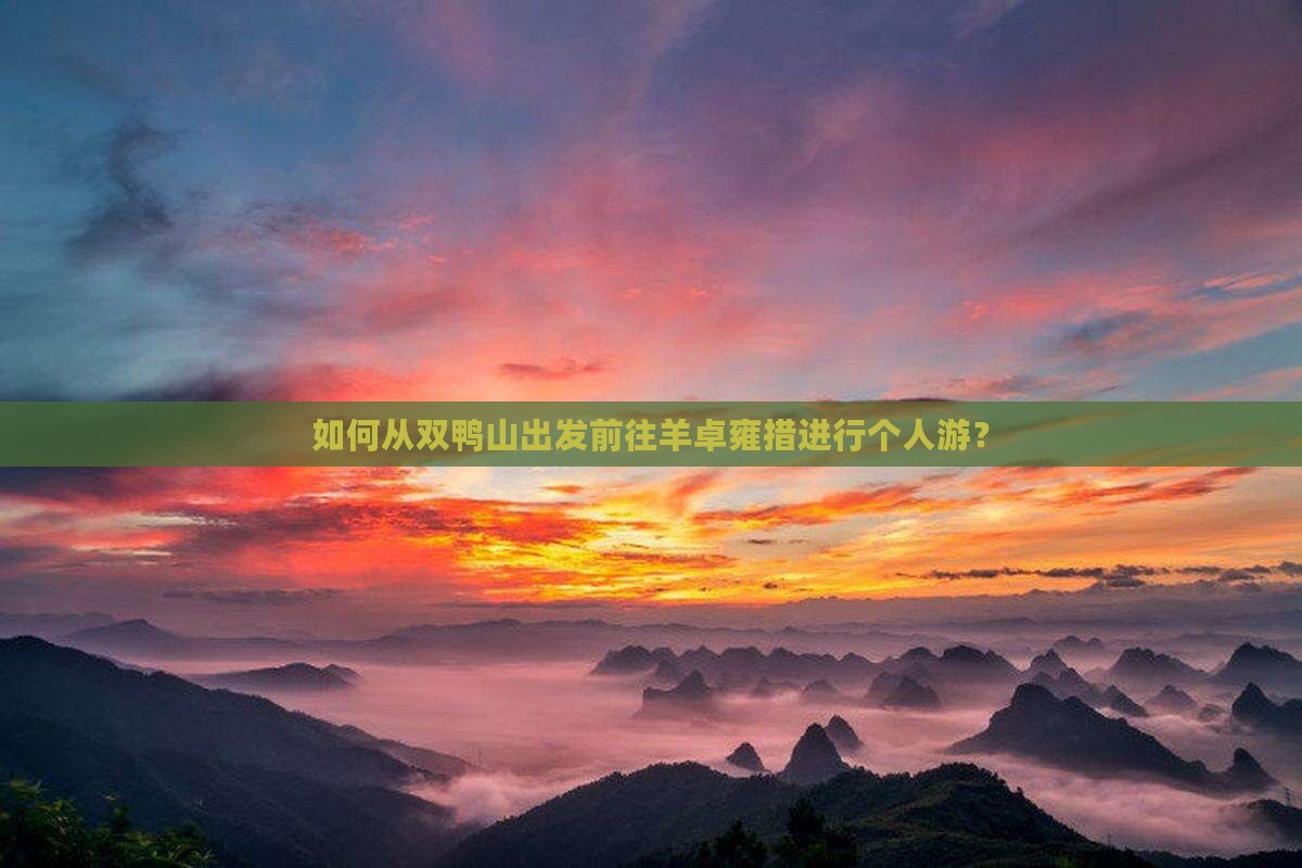 如何从双鸭山出发前往羊卓雍措进行个人游？