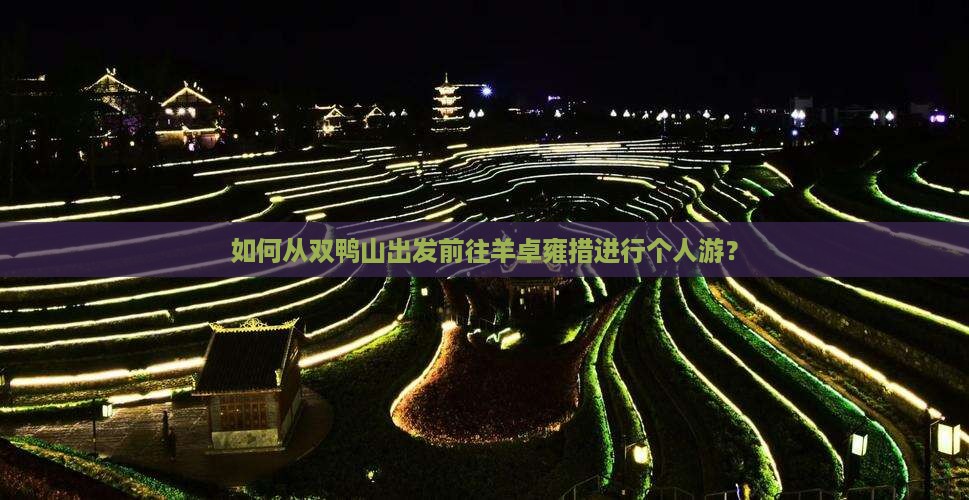 如何从双鸭山出发前往羊卓雍措进行个人游？