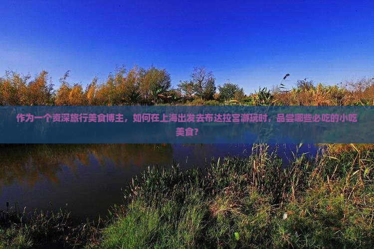 作为一个资深旅行美食博主，如何在上海出发去布达拉宫游玩时，品尝哪些必吃的小吃美食？