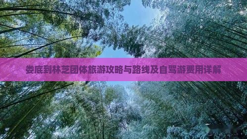 娄底到林芝团体旅游攻略与路线及自驾游费用详解