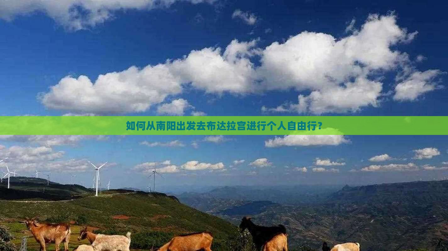 如何从南阳出发去布达拉宫进行个人自由行？