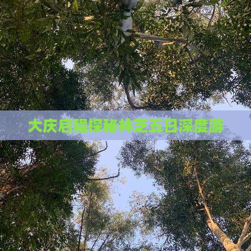 大庆启程探秘林芝五日深度游