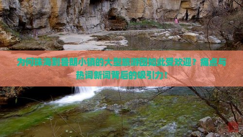 为何珠海到鲁朗小镇的大型旅游团如此受欢迎？痛点与热词新词背后的吸引力！