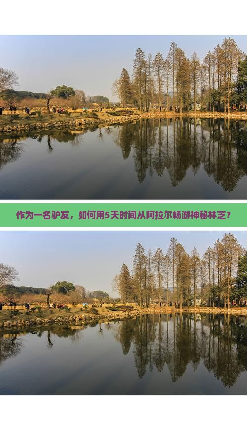 作为一名驴友，如何用5天时间从阿拉尔畅游神秘林芝？