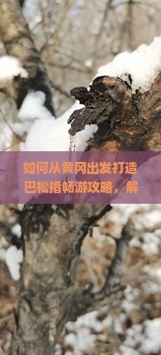 如何从黄冈出发打造巴松措畅游攻略，解决高原旅行痛点？
