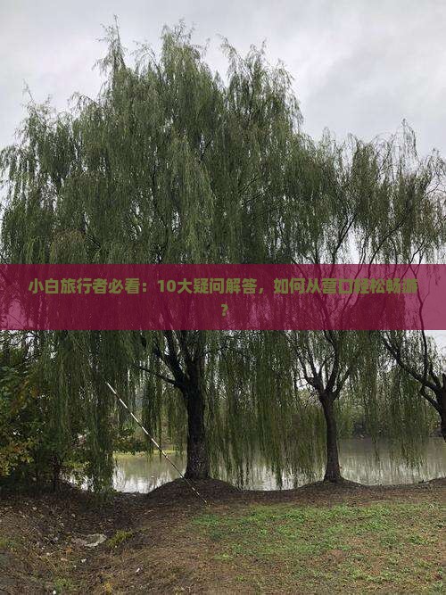 小白旅行者必看：10大疑问解答，如何从营口轻松畅游？