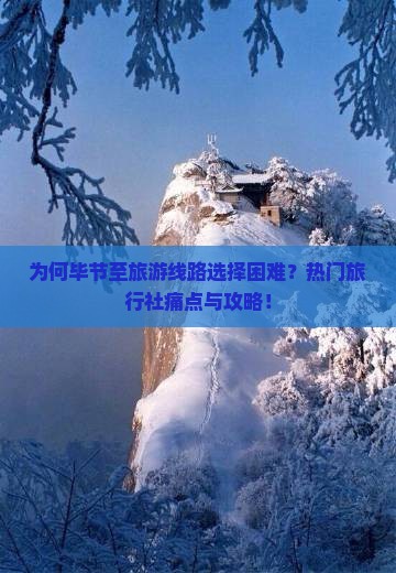 为何毕节至旅游线路选择困难？热门旅行社痛点与攻略！