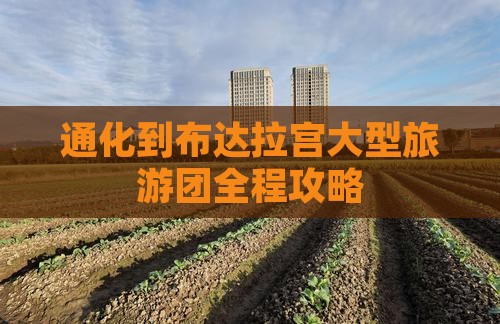 通化到布达拉宫大型旅游团全程攻略