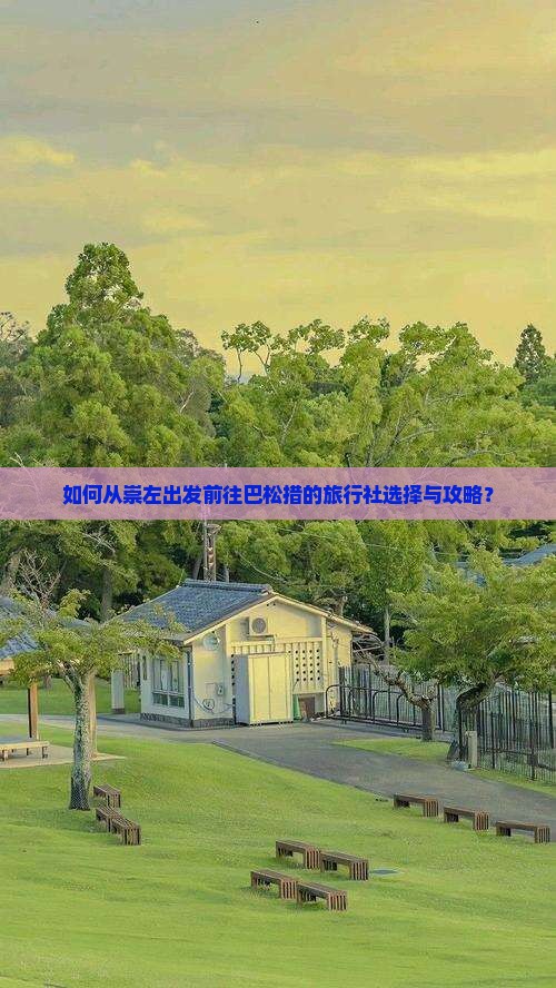 如何从崇左出发前往巴松措的旅行社选择与攻略？