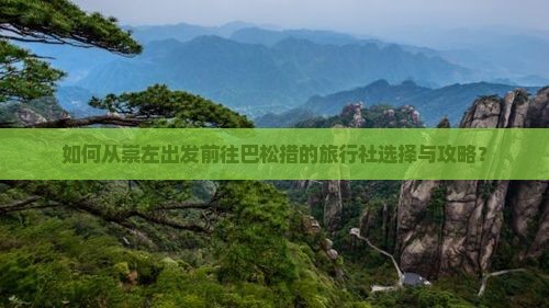 如何从崇左出发前往巴松措的旅行社选择与攻略？