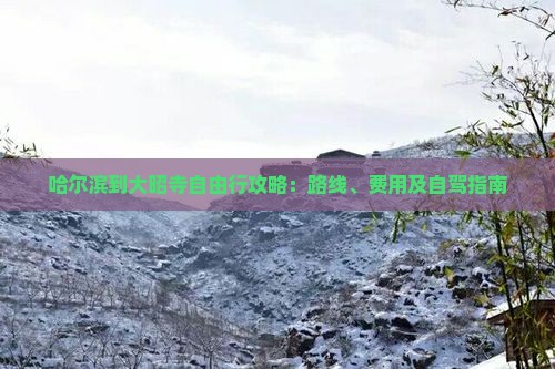 哈尔滨到大昭寺自由行攻略：路线、费用及自驾指南