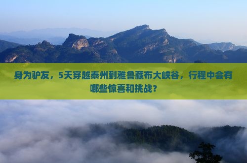 身为驴友，5天穿越泰州到雅鲁藏布大峡谷，行程中会有哪些惊喜和挑战？