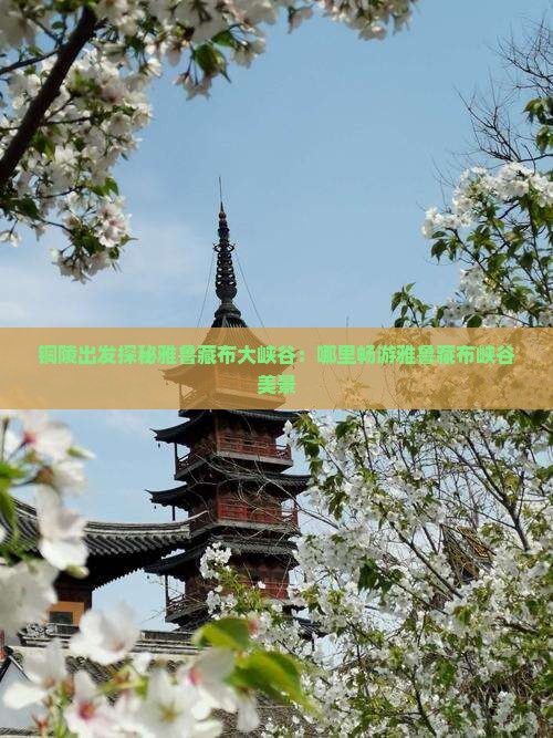 铜陵出发探秘雅鲁藏布大峡谷：哪里畅游雅鲁藏布峡谷美景