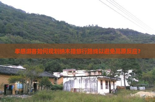 孝感游客如何规划纳木措旅行路线以避免高原反应？