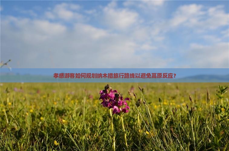 孝感游客如何规划纳木措旅行路线以避免高原反应？