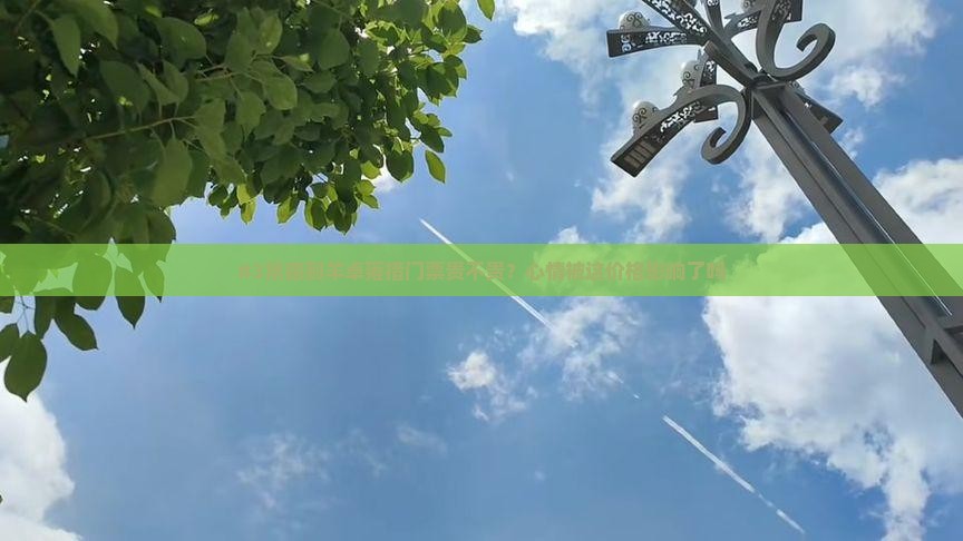 #3常德到羊卓雍措门票贵不贵？心情被这价格影响了吗