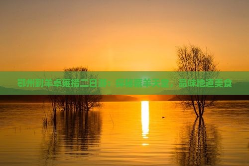 鄂州到羊卓雍措二日游：探秘藏羊天堂，品味地道美食