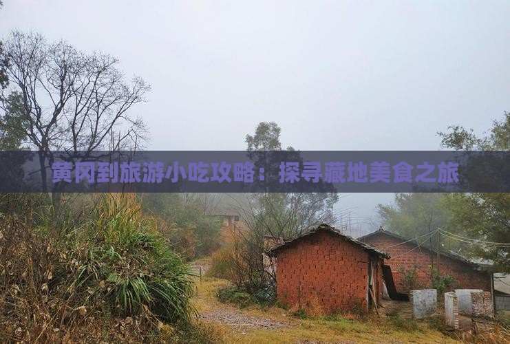 黄冈到旅游小吃攻略：探寻藏地美食之旅
