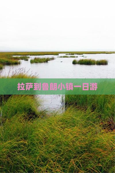 拉萨到鲁朗小镇一日游