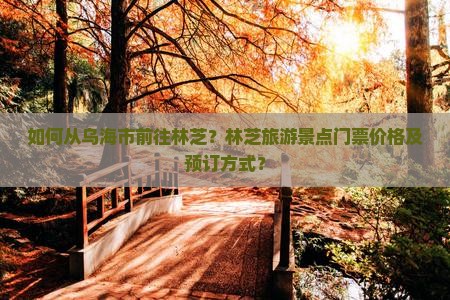 如何从乌海市前往林芝？林芝旅游景点门票价格及预订方式？