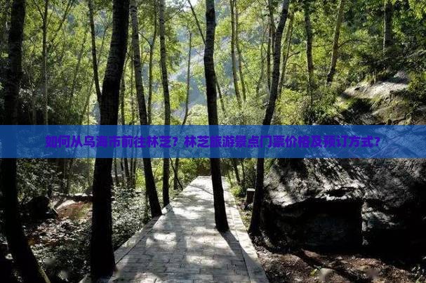 如何从乌海市前往林芝？林芝旅游景点门票价格及预订方式？