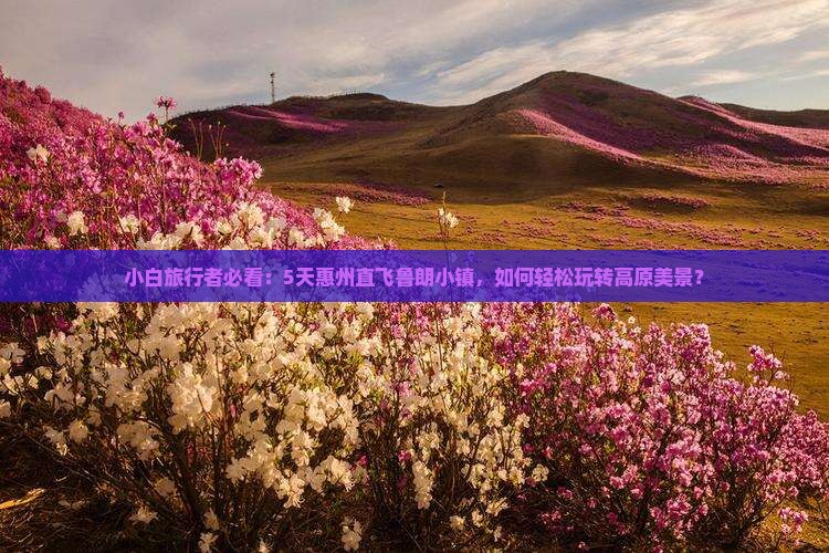 小白旅行者必看：5天惠州直飞鲁朗小镇，如何轻松玩转高原美景？