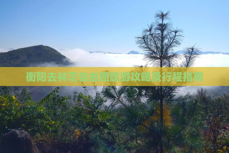衡阳去林芝自由团旅游攻略及行程指南
