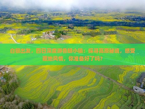 白银出发，四日深度游鲁朗小镇：探寻高原秘境，感受藏地风情，你准备好了吗？