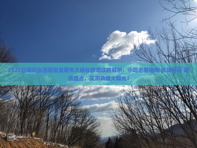 日喀则去西藏雅鲁藏布大峡谷旅游小吃