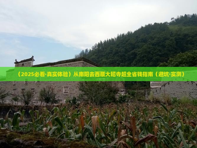 南阳到西藏大昭寺景点