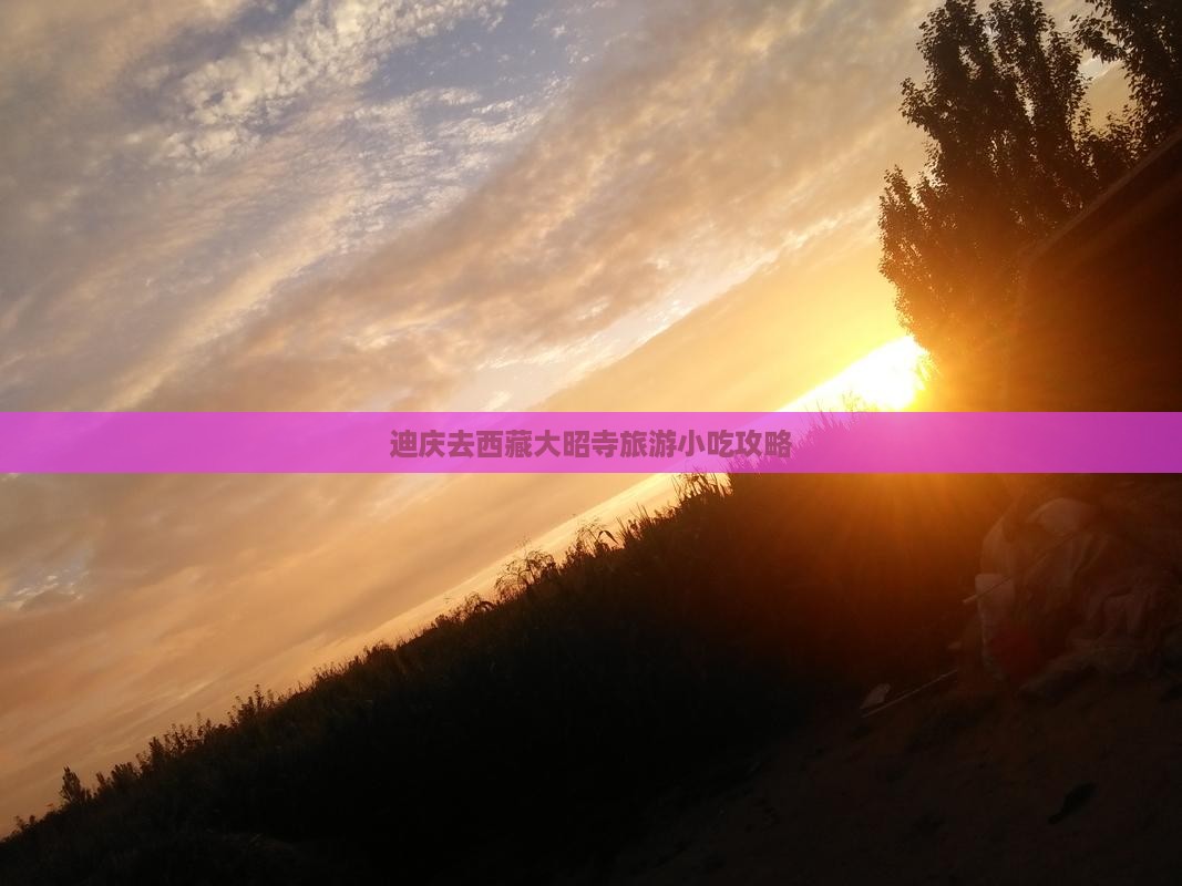 迪庆去西藏大昭寺旅游小吃