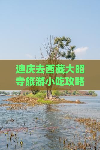 迪庆去西藏大昭寺旅游小吃