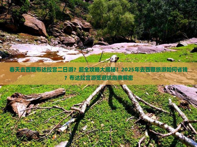 春天去西藏布达拉宫二日游