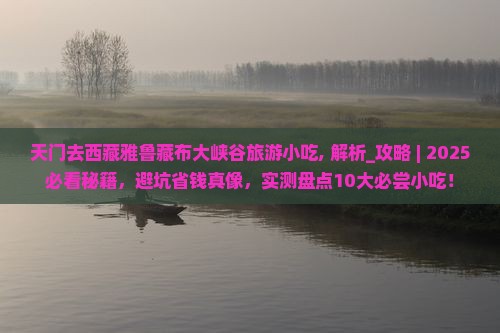 天门去西藏雅鲁藏布大峡谷旅游小吃