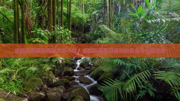成都去西藏日喀则旅游小吃