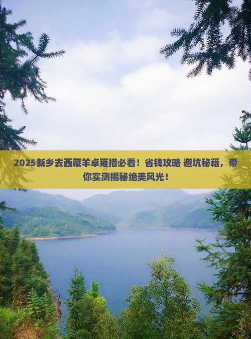 新乡去西藏羊卓雍措景点