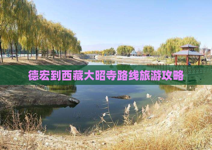 德宏到西藏大昭寺哪里玩