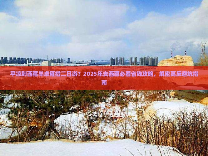 平凉去西藏羊卓雍措二日游