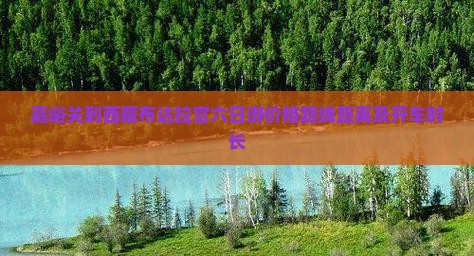 嘉峪关到西藏布达拉宫六日游