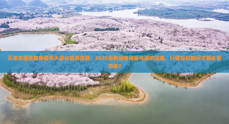 天津去西藏雅鲁藏布大峡谷旅游