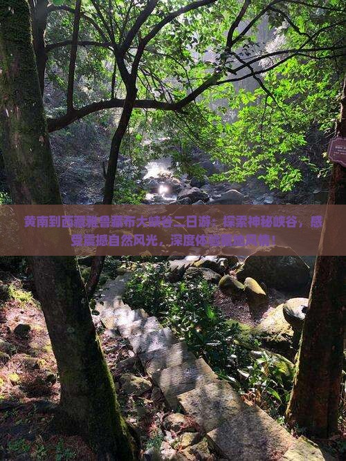 黄南到西藏雅鲁藏布大峡谷二日游